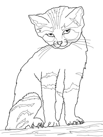 Sand Cat Coloring Page